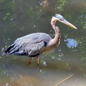 Meet your Posher, Kevin